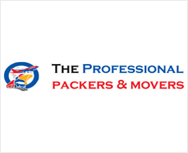 Professional Packers and Movers Chennai